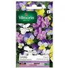 Image de Vilmorin - Viola Cornuta Mix