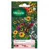 Image de Fleurs Vivaces Hautes - 4 m² - Mélange de fleurs