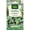Image de Houblon Grimpant