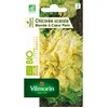 Image de Chicorée Scarole Blonde à Coeur Plein - BIO