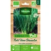 Image de Vilmorin - Sachet graines Ciboulette très fine danoise BIO - Allium schoenoprasum