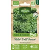Image de Persil Frisé Vert Foncé - BIO