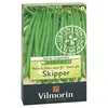 Image de Haricot Nain Vert Skipper + 20 g Offert