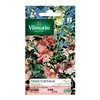 Image de Vilmorin - Sachet graines Rose Trémière Pastorale