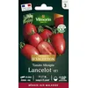 Image de Tomate Lancelot HF1 - Graines d'Exception