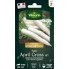 Image de Radis Japonais April Cross HF1 - Graines d'Exception