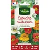 Image de Capucine Alaska Variée