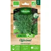 Image de Aneth Officinal - BIO