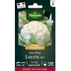 Image de Vilmorin Chou Fleur Locris HF1