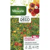 Image de Sachet graines Mélange de Fleurs Flamboyant