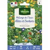 Image de Mélange Couvrant Allées Bordures - 10 m² - Mélange de fleurs