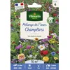 Image de Mélange Champêtre - 10 m² - Mélange de fleurs