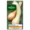 Image de VILMORIN COURGE DE NICE A FRUIT LONG