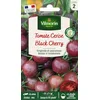 Image de Tomate Black Cherry