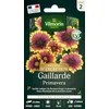 Image de Gaillarde Primavera - Graines d'Exception