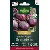 Image de Betterave Potagère Grenade HF1 - Graines d'Exception