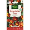 Image de Eschscholtzia Rouge