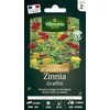 Image de Zinnia Graffiti - Graines d'Exception