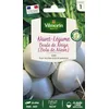 Image de Navet-Légume Rond Boule de Neige