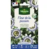 Image de Passiflore (Fleur de la Passion)