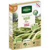 Image de Haricot Nain Vert Maxi - 10 m - BIO