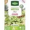 Image de Haricot Grimpant Plat Vert Mistica - 10 m