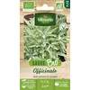 Image de Sauge Officinale - BIO