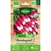 Image de Sachet graines Radis Flamboyant 2 BIO -Raphanus sativus