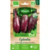 Image de Betterave Potagère Cylindra - BIO