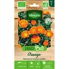 Image de Vilmorin Sachet graines Souci Orange Bio - Calendula officinalis