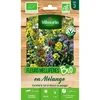 Image de Fleurs Méllifères en Mélange - BIO