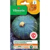 Image de Potiron (Courge Kabocha) Green Hokkaido - Cuisine du Monde
