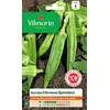 Image de Vilmorin Gombo Clems