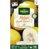 Image de Vilmorin-3666241-MELON JAUNE CANARIA VL 1 746
