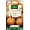 Image de Oignon jaune Valenciana Tardia