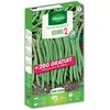 Image de Haricot Nain Vert Oxinel 2 + 20 g Offert