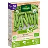 Image de Pois Nain à Grain Ridé Karina - 20 m - BIO