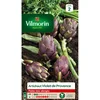 Image de Artichaut Violet de Provence