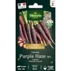 Image de Carotte Violette Purple Haze HF1 - Graines d'Exception