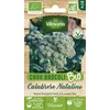 Image de Chou Brocoli Calabrese Natalino - BIO