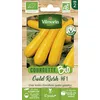 Image de Courgette Jaune Gold Rush HF1 - BIO