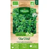 Image de Basilic Fin Vert - BIO
