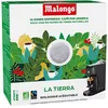 Image de Café équitable, fabriqué en France - Malongo - La Tierra - 16 dosettes - 104g