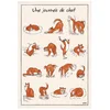 Image de Winkler   Torchon imprimé Journée de Chat - 72x48 cm   Fabriqué en France - Serviette chiffon nettoyage vaisselle   Linge de cuisine et restauration   100% coton absorbant