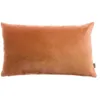 Image de Vivaraise - Coussin Elise avec garnissage Moelleux   Taie d'oreiller Lavable - Housse Amovible   100% Coton   Recto Velours, Verso Chambray