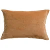 Image de Vivaraise - Coussin Elise avec garnissage Moelleux   Taie d'oreiller Lavable - Housse Amovible   100% Coton   Recto Velours, Verso Chambray