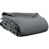 Image de Vivaraise Drap Plat Kala Carbone 240 x 300 cm