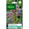 Image de Vilmorin - Bourrache Officinale