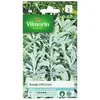 Image de Vilmorin Sauge Officinale