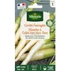 Image de Carotte Fourragère Blanche à Collet Vert Hors Terre